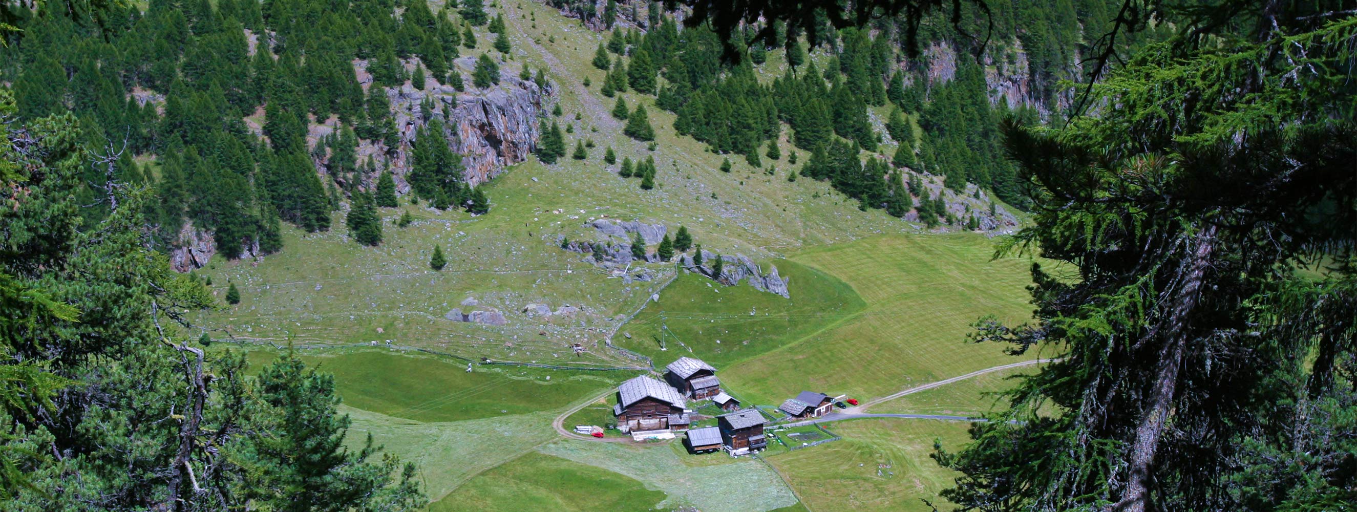 Klettergarten am Marchegghof